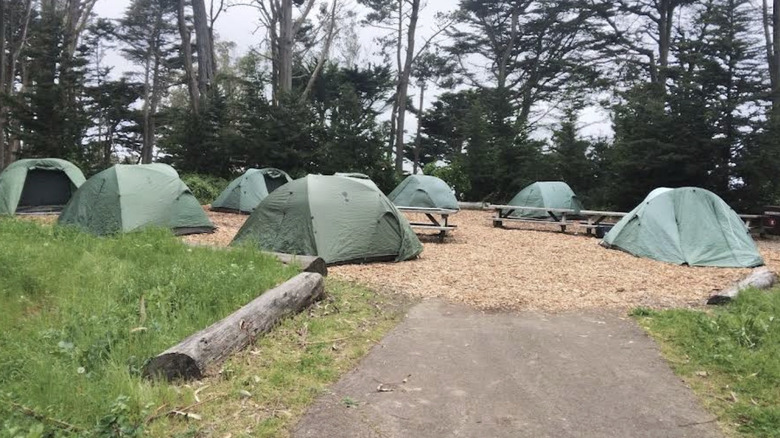 tentes au terrain de camping Rob Hill