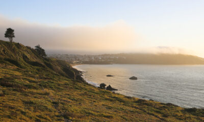 Le terrain de camping paisible de San Francisco offre une évasion amusante et en plein air de la ville