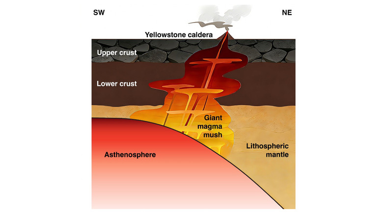 Schémas du système magmatique de Yellowstone