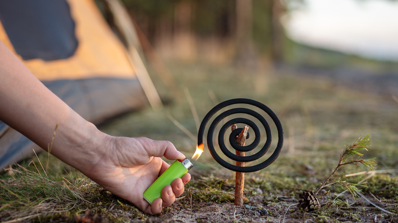Personne allumant une bobine anti-insectes