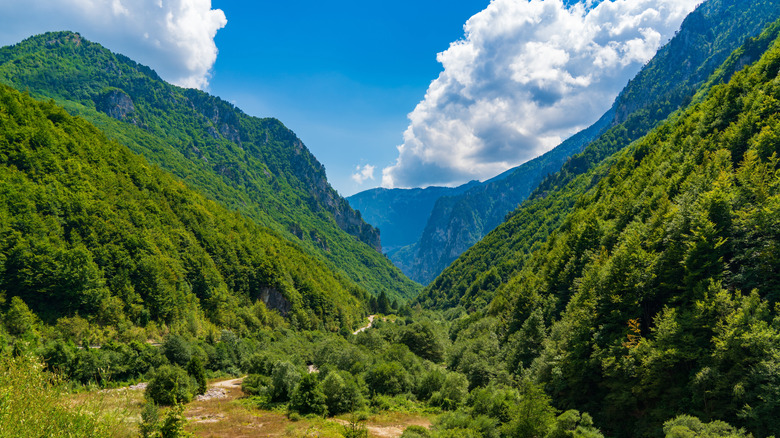 Pentes abruptes couvertes de forêts du canyon de Rugova