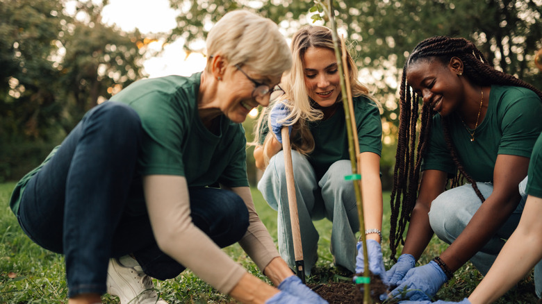 Membres du club environnemental plantant des plantes, femme âgée et deux jeunes femmes souriantes