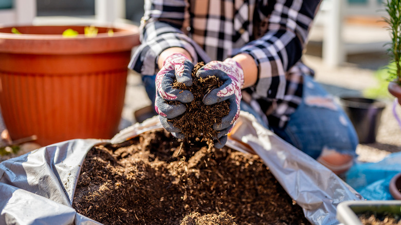 Close-up de mains gantées ramassant la terre d'un sac pour le jardinage