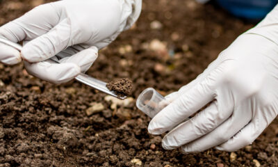 La vraie différence entre la terre végétale et le terreau, selon la science