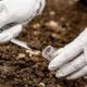 La vraie différence entre la terre végétale et le terreau, selon la science