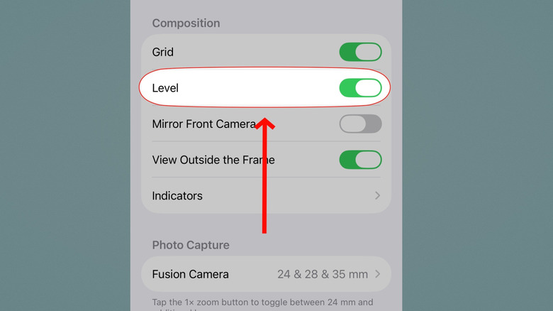 L'option de niveau dans les paramètres de l'appareil photo de l'iPhone