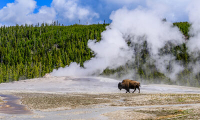 Des scientifiques révèlent le danger potentiellement dévastateur qui se cache sous le parc national de Yellowstone