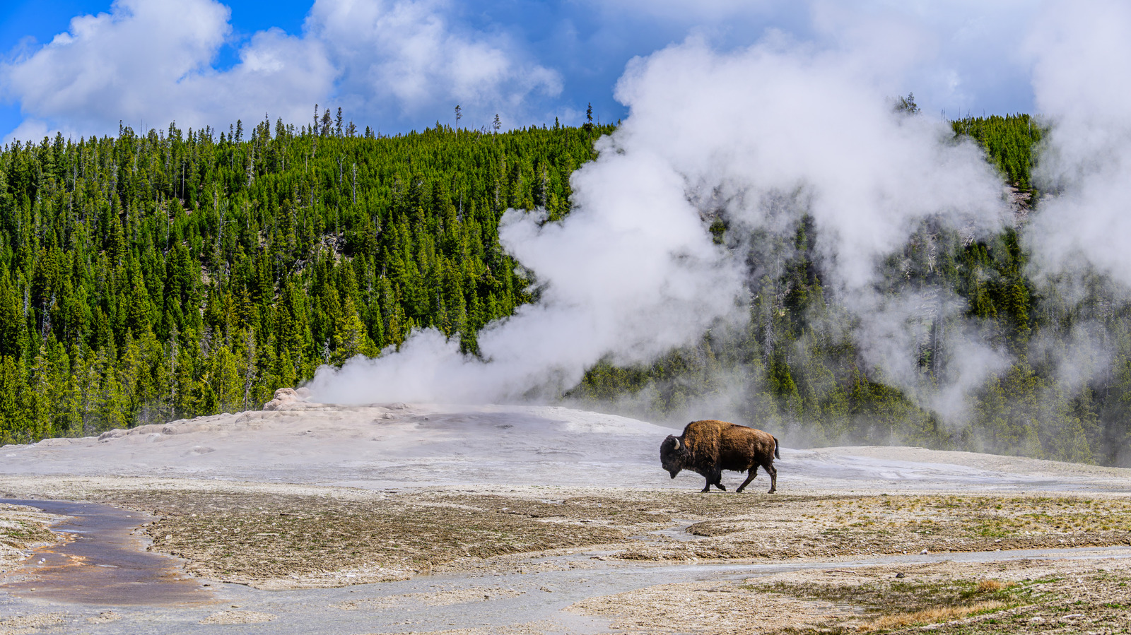 Des scientifiques révèlent le danger potentiellement dévastateur qui se cache sous le parc national de Yellowstone