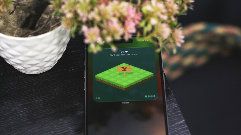 Widget forêt sur l'écran d'accueil d'un iPhone