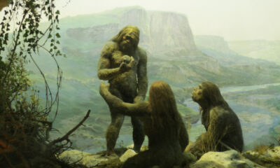 L'ADN de Néandertal a un effet inattendu sur votre santé