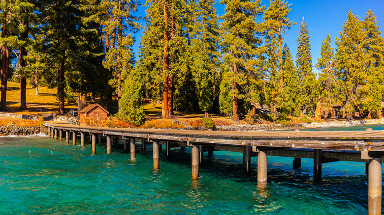 Le quai historique du parc national Ed Z'berg Sugar Pine Point.