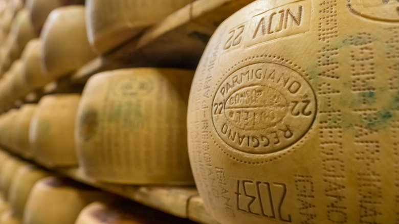 Meules de fromage Parmigiano-Reggiano vieillissant sur des étagères.