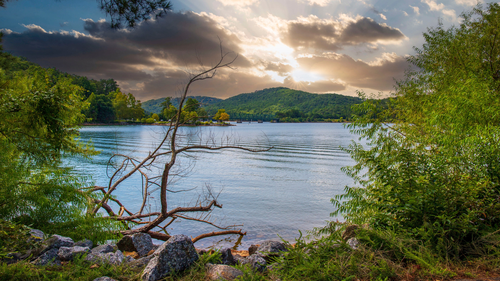 Un camping tranquille pour camping-car et des loisirs sur le lac vous attendent dans ce magnifique parc d'État de Géorgie
