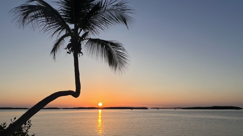 Lever du soleil sur la plage d'Islamorada, en Floride