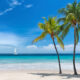 5 villes balnéaires idylliques de Floride qui rivalisent avec les îles des Caraïbes