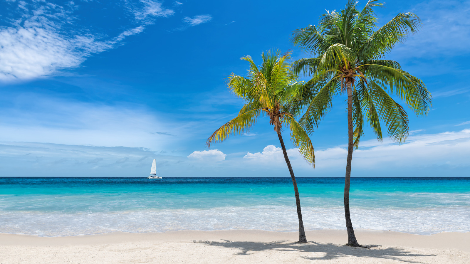 5 villes balnéaires idylliques de Floride qui rivalisent avec les îles des Caraïbes