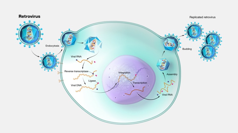 Illustration de cellules virales flottant avec des brins d'ADN