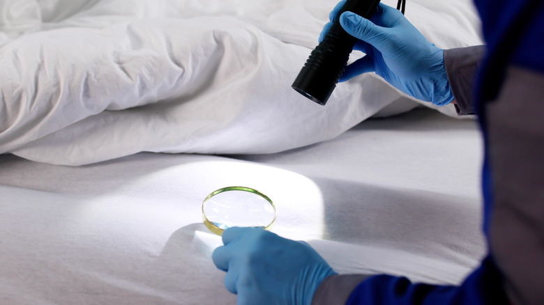Une personne avec une loupe et une lampe torche recherche des punaises de lit dans un lit