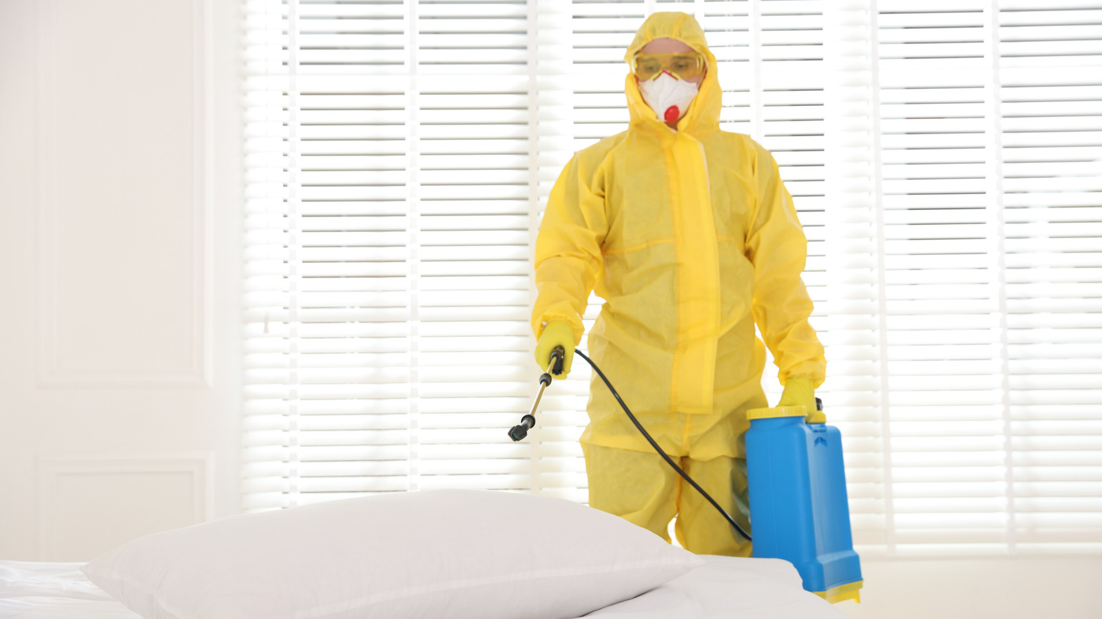 Le spray révolutionnaire qui pourrait enfin vaincre les punaises de lit