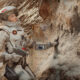 La saison 5 de For All Mankind ramène enfin la meilleure (et la plus effrayante) partie de la série