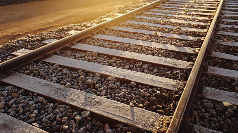 Voie ferrée composée de deux rails en acier soutenus par des traverses en bois encastrées dans des pierres de ballast