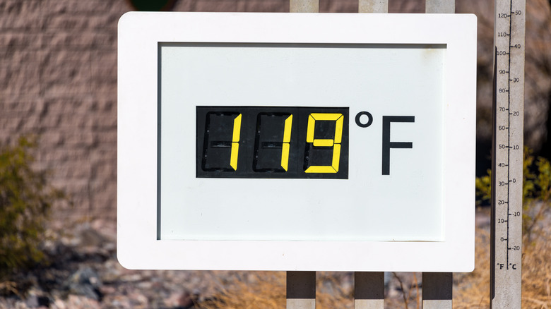 Thermomètre numérique indiquant 119 degrés Fahrenheit