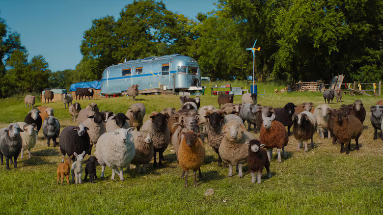 Les moutons de la ferme de George sont impliqués dans l'affaire The Sheep Detectives