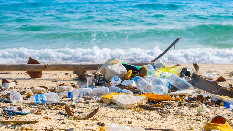 Déchets sur une plage