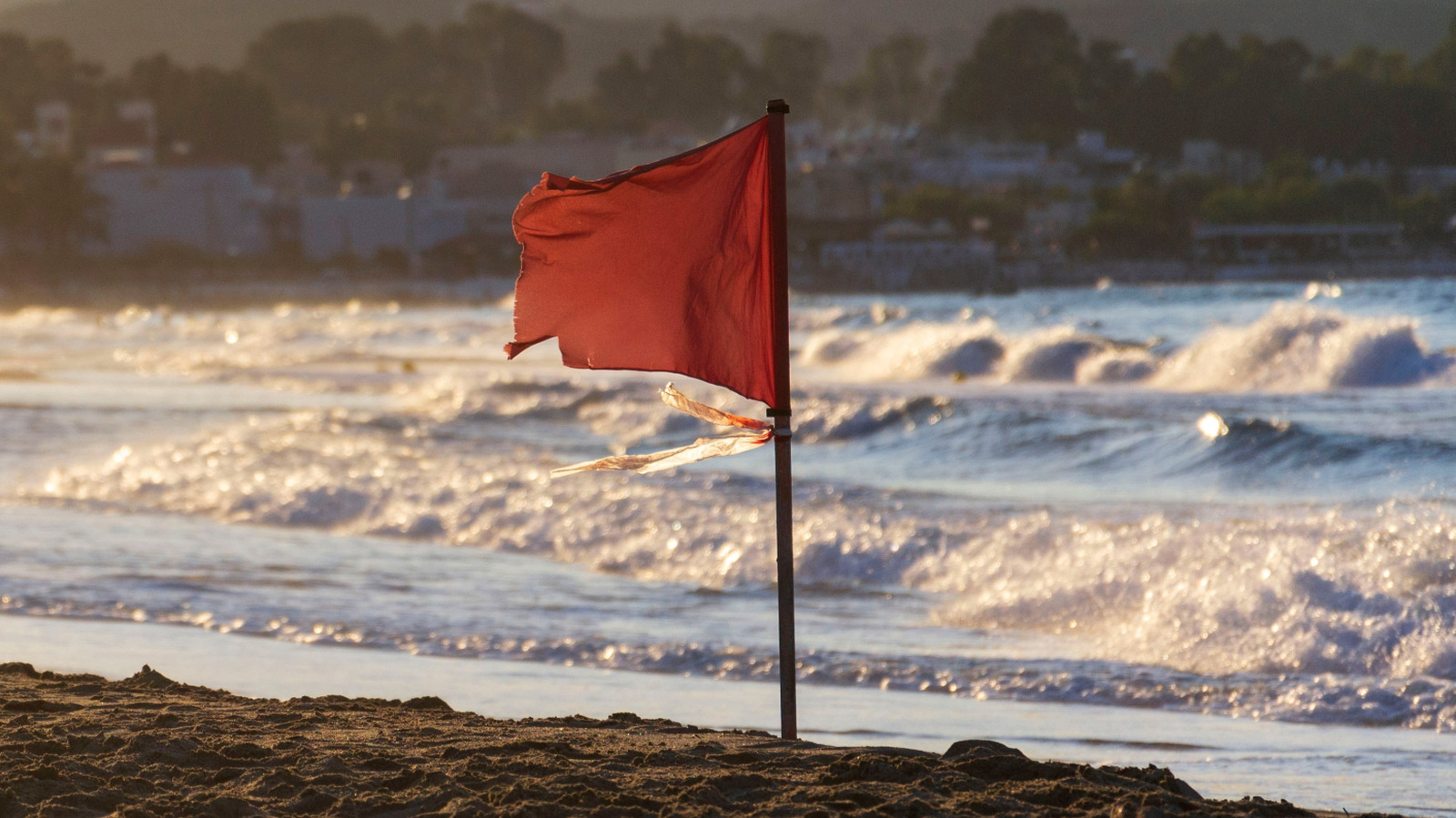 Des experts océaniques révèlent pourquoi certaines plages sont plus sûres que d’autres