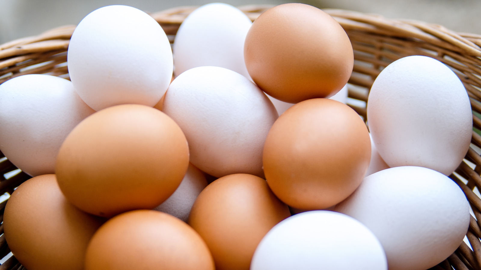 La différence entre les œufs bruns et blancs peut facilement être expliquée par la science