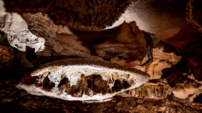 Formation de caissons à l'intérieur du parc national de Wind Cave