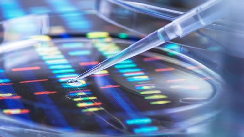 Plateforme de séquençage d’ADN de près