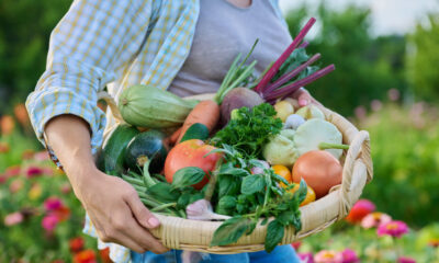 Vous pouvez absorber plus de calcium de ces légumes que du lait (mais c'est compliqué)