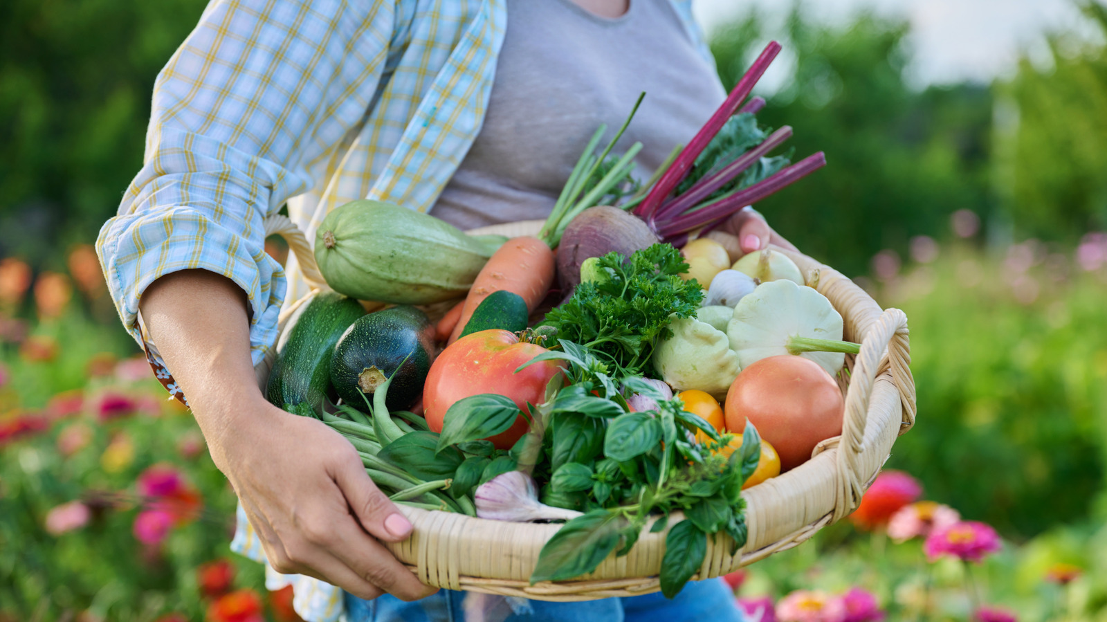 Vous pouvez absorber plus de calcium de ces légumes que du lait (mais c'est compliqué)