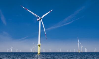 Les parcs éoliens offshore font bien plus pour l’océan que ce que les scientifiques prévoyaient