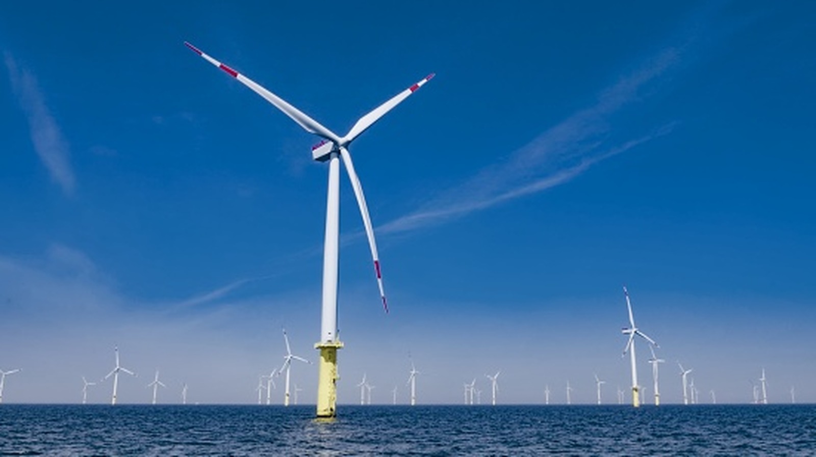 Les parcs éoliens offshore font bien plus pour l’océan que ce que les scientifiques prévoyaient