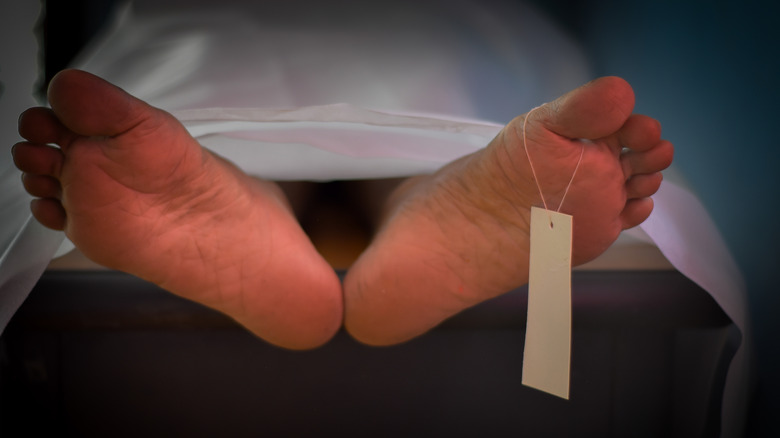 Les pieds d'un cadavre avec une étiquette d'orteil attachée