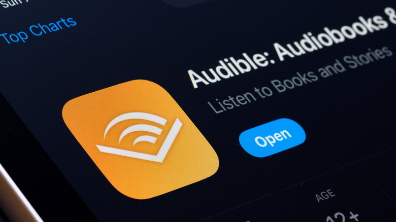 Logo d'application sonore sur un téléphone