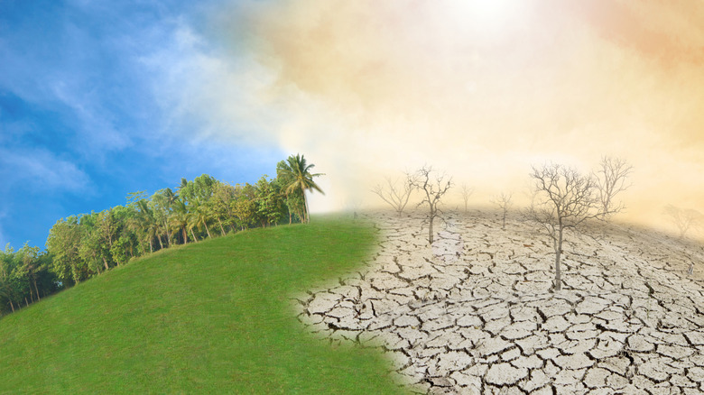 Concept terrestre comparant un climat normal (à gauche) et un El Niño sec et chaud (à droite)