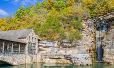 Cet incroyable parc des Ozarks propose des sentiers naturels, des cascades et des visites guidées de la faune