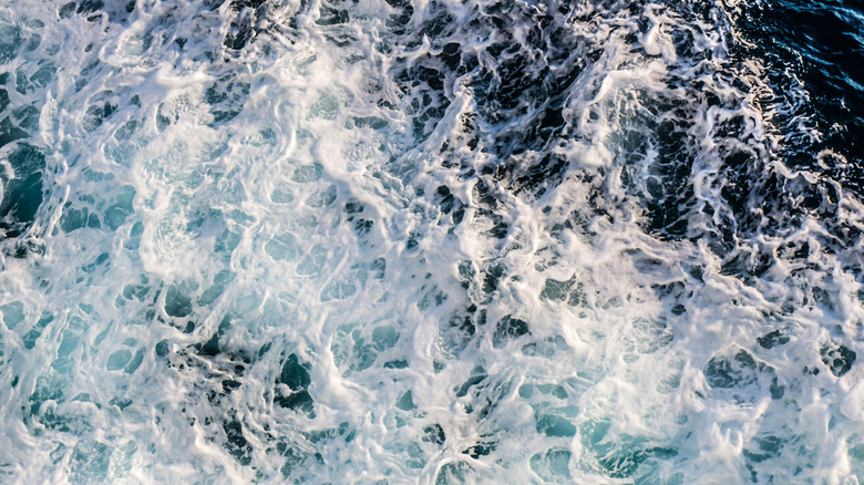 Une vue aérienne des vagues de l'océan/