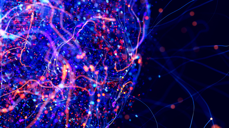Représentation abstraite d'un réseau neuronal de type circuit.
