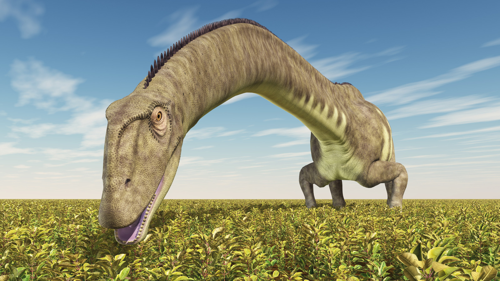 Le dinosaure de 92 pieds découvert par accident en Chine