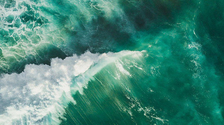 vagues vertes de l'océan