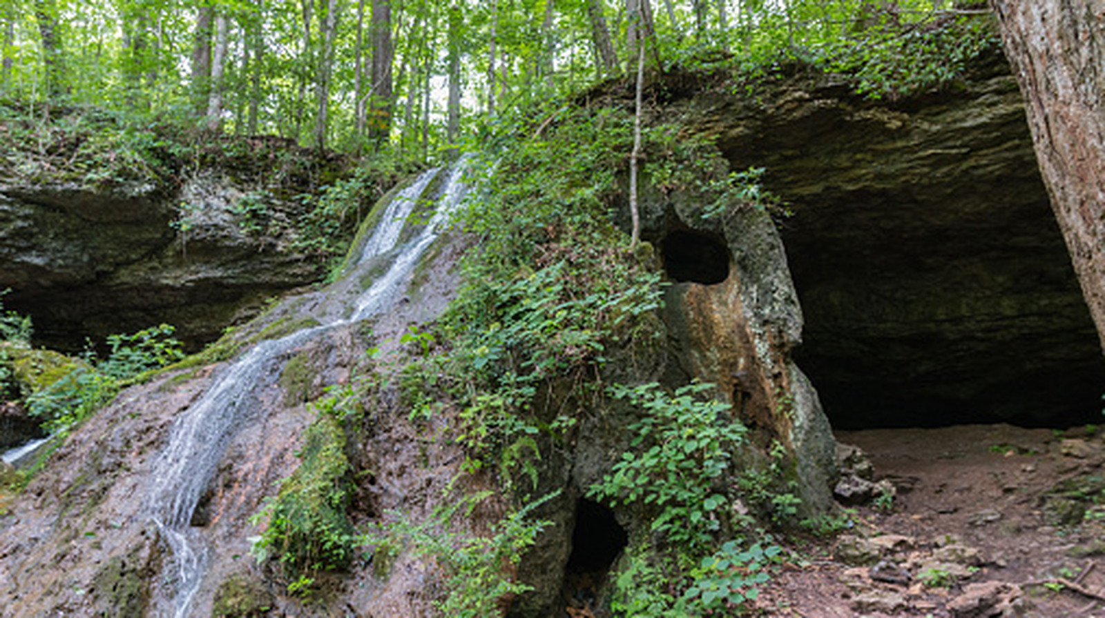 Le plus récent parc d'État du Tennessee cache un immense système de grottes qui mérite d'être exploré