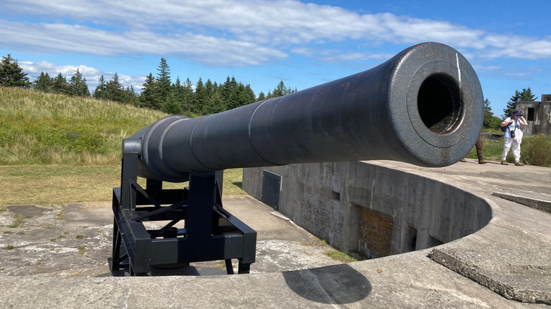 Un canon d'artillerie du XVIIIe siècle sur l'île McNabs.