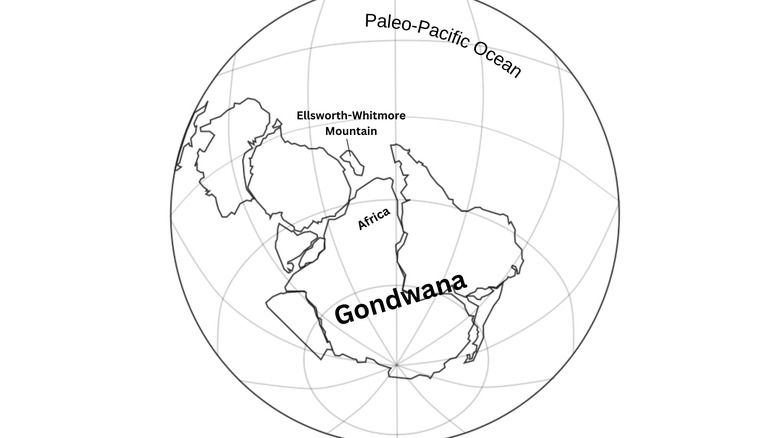 Dessin au trait d'un globe montrant l'emplacement de l'ancien supercontinent du Gondwana et les positions de l'Afrique et de l'Amérique du Sud