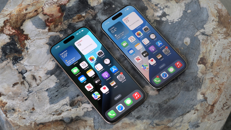iPhone 16 Pro et 16 Pro Max face vers le haut sur une pierre