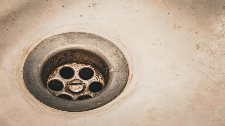Gros plan d'un drain d'évier sale