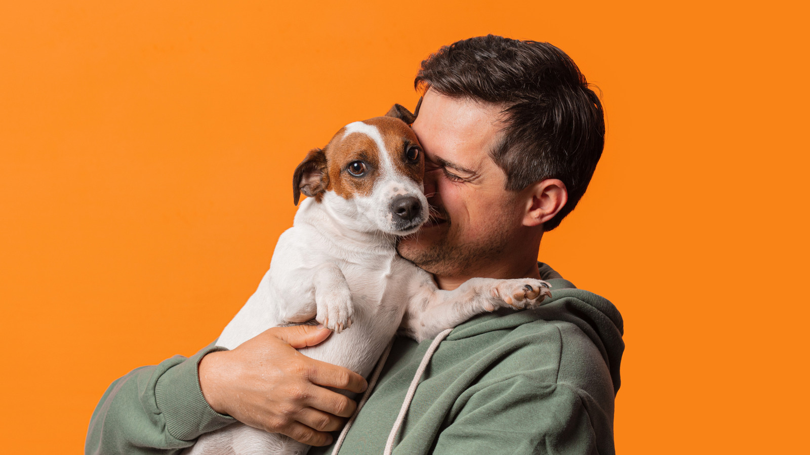 Des scientifiques ont découvert des similitudes inattendues entre l’ADN des chiens et des humains
